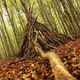 Illustration for article titled Shooting Challenge Fall Leaves Gallery 9